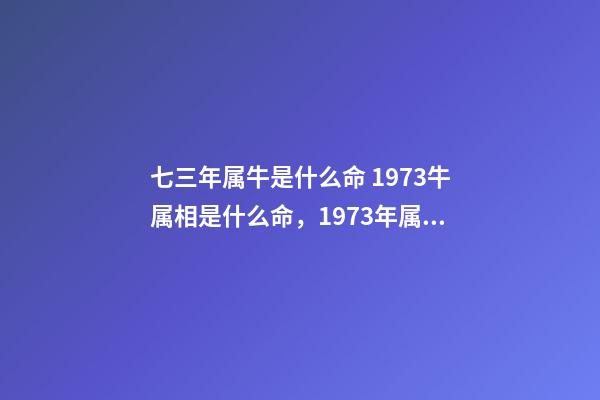 七三年属牛是什么命 1973牛属相是什么命，1973年属牛是什么命运-第1张-观点-玄机派